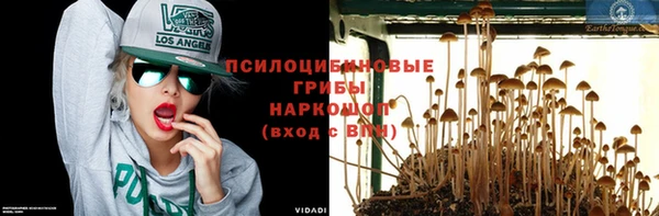 мескалин Абинск