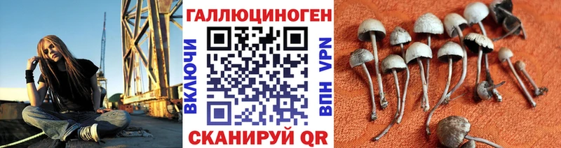 Галлюциногенные грибы Cubensis  Тарко-Сале 