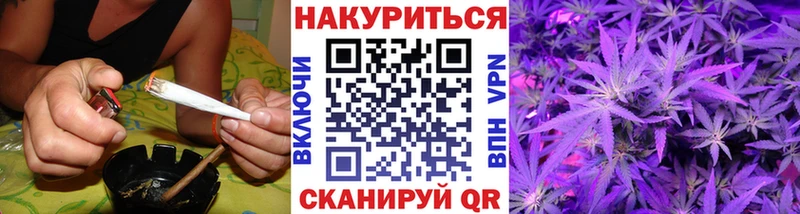Марихуана сатива Тарко-Сале